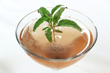 Closeup Isolated Pink Rose Champagne Cocktail In Glass With Green Herb Leaf  Floral Garnish White Background
