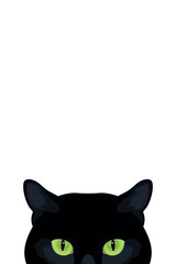 Peeking black cat with green eyes isolated on white background. Cat hides and peeks. Vector illustration