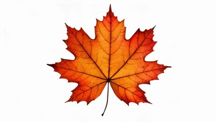  Autumns vibrant beauty in a single leaf