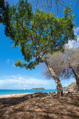Virgin beach in the Caribbean. Turquoise blue beaches, with cliffs and vegetation