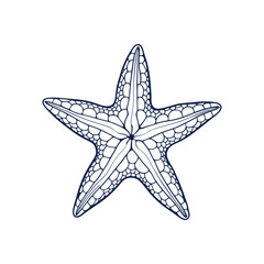 Fototapeta premium Sea starfish marine life line art