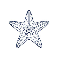 Sea starfish marine life line art