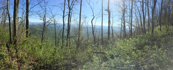 Obraz premium Backpacking the Appalachian Trail