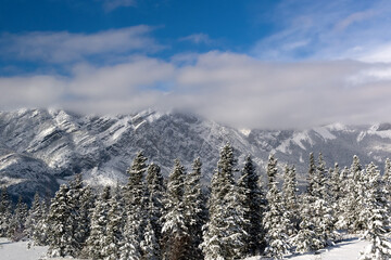 Snowy mountains, sunny day, Alberta, Canada