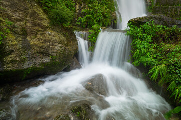 Fototapeta premium Paglajhora waterfall , famous waterfall in monsoon, at Kurseong, Himalayan mountains of Darjeeling, West Bengal, India. Origin of Mahananda River flowing through Mahananda Wildlife Sanctuary.