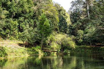 Big Lake, grande lago in ancient forest of Bussaco National Forest, in Luso, Aveiro in Portugal