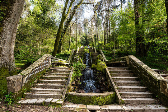 Famous water stairway Fonte Fria in the magical ancient forest of Bussaco in Luso, Aveiro in Portugal