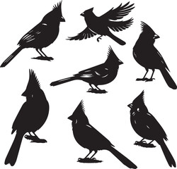 cardinal bird silhouette vectors on a white page high quality high resolution, black color isolated on white background