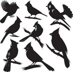 cardinal bird silhouette vectors on a white page high quality high resolution, black color isolated on white background