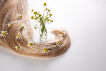 Fresh chamomile flowers and hair on the white background. Hair treatment concept. Close up