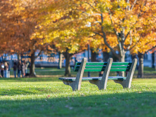 park bench in the autumn