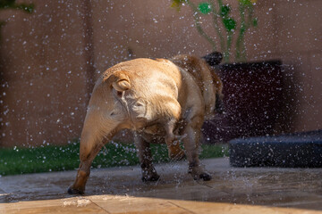 Fototapete bei efototapeten.de bestellen   