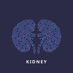 Human kidneys Logo silhouette design vector template. simple icon Kidney creative concept. abstract Urinary system, Kidney care Logotype icon Vector illustration. EPS10