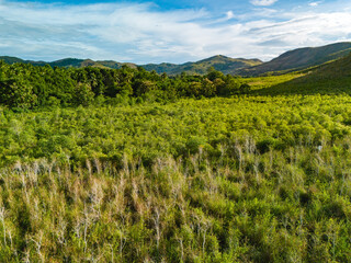 Beautiful Aerial View of Green Grass Hill in Buru Island, Maluku, Indonesia