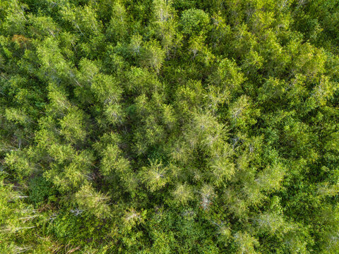 Aerial View of Green Grass Hill in Buru Island, Maluku, Indonesia