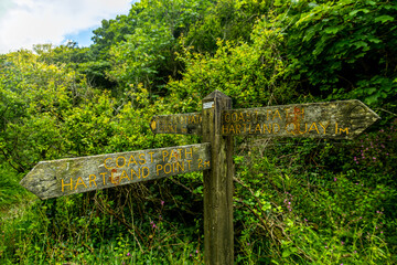 Fototapeta premium Eine Schöne Wanderung zum Hartland Point mit seinen wunderschönen Leuchturm und eine traumhaften Meerkulisse - Devon - Vereinigtes Königreich