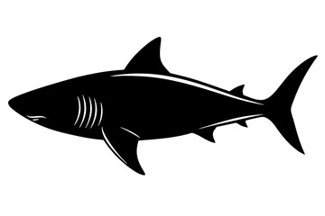 Shark silhouette vector, Silhouette of a shark isolated on white background

