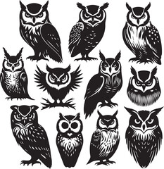 owl silhouette vectors on a white page high quality high resolution, black color isolated on white background