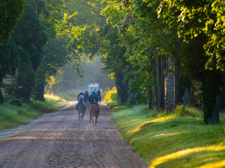 Centre d'entrainement des chevaux de course 2