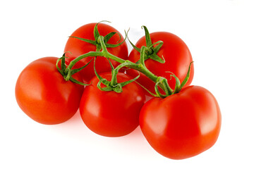 Red, fresh tomatoes on a branch isolated on a white background. Full depth of field.