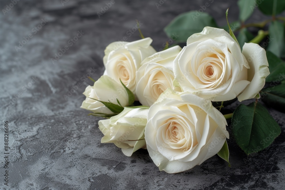 Poster white roses on a mournful stone background symbolizing a funeral