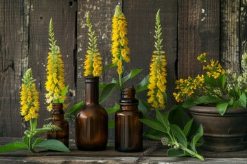 Yellow sweet clover also called Melilotus officinalis is a significant nectar source in herbal medicine often found on old wooden tables with pharmaceutical bo