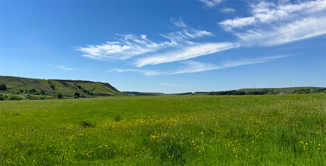 A vast green meadow stretches out under a blue sky, dotted with scattered clouds. Rolling hills are visible in the distance, providing a serene and peaceful landscape in, Rossendale, UK