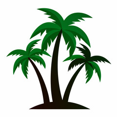palm trees vector illustration on  white background