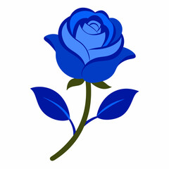 blue rose isolated on white