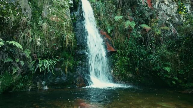 Sendero Ecol&oacute;gico en la Quebrada Las Delicias
Explora la biodiversidad de la Quebrada Las Delicias recorriendo sus senderos ecol&oacute;gicos, perfecto para proyectos de ecoturismo.