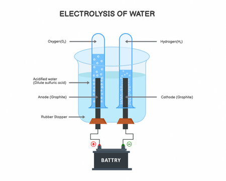 electrolysis of water labeled educational experiment model example with battery charging and anode or cathode reaction