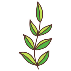 leaf cartoon doodle