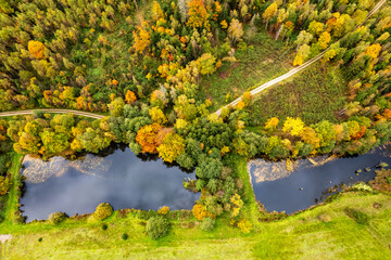 A drone view of the lake in the woods. An aerial view of an autumn forest. Pond among the trees. Top view. Thuringia, Germany.