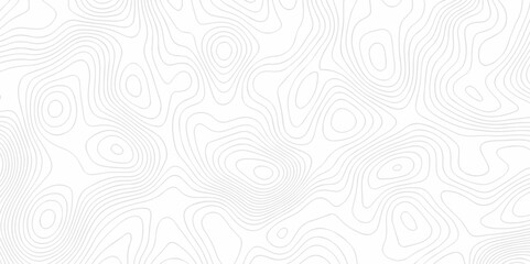 Vector white wave line geography landscape Topo contour map on white background. Geographic mountain relief diagram line wave carve pattern. Topographic world map contour lines map texture.