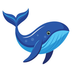 Obraz premium the blue whale.