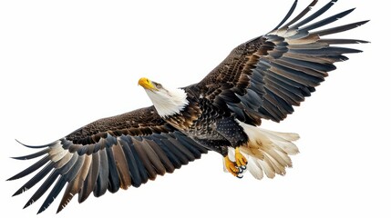 Obraz premium a high quality stock photograph of a single flying happy eagle isolated on a white background