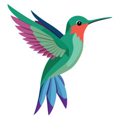 Obraz premium Colorful Humming bird