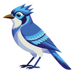 Blue Jays: Bold and Brilliant Birds