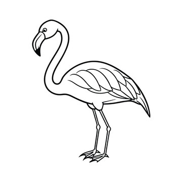 recommend clip art: flamingo vector line art