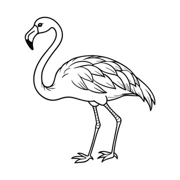 recommend clip art: flamingo vector line art