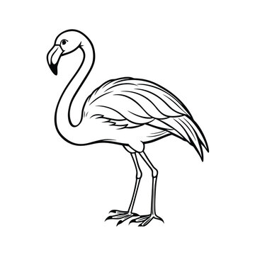 recommend clip art: flamingo vector line art