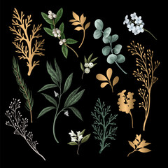 Christmas green botanical and gold elements isolated. Vector.