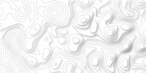 White wave line geography landscape Topo contour map on white background. Geographic mountain relief diagram line wave carve pattern. Topographic world map contour lines map texture.