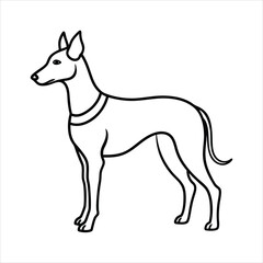 Create a african dog vector illustration design vector