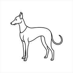 Create a african dog vector illustration design vector