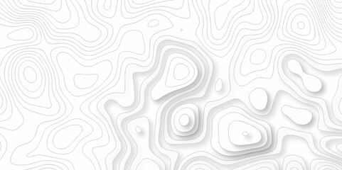 Vector white wave line geography landscape Topo contour map on white background. Geographic mountain relief diagram line wave carve pattern. Topographic world map contour lines map texture.