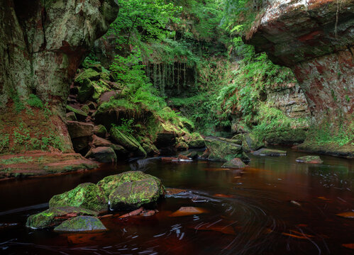 Devils Pulpit gorge, Scotland, with dark river flowing through deep ravine cliffs covered in greenery