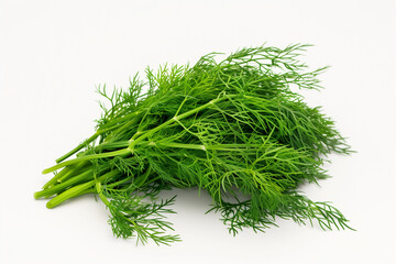 Fresh Dill Sprigs on Isolated on a White Background