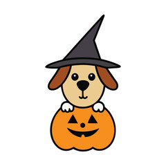 Cute wizard dog with pumpkin Halloween vector illustration.