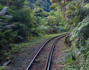 Fototapeta premium Railroad track through lush tropical rainforests between Shifen and Ruifang, Pingxi district, New Taipei City, Taiwan